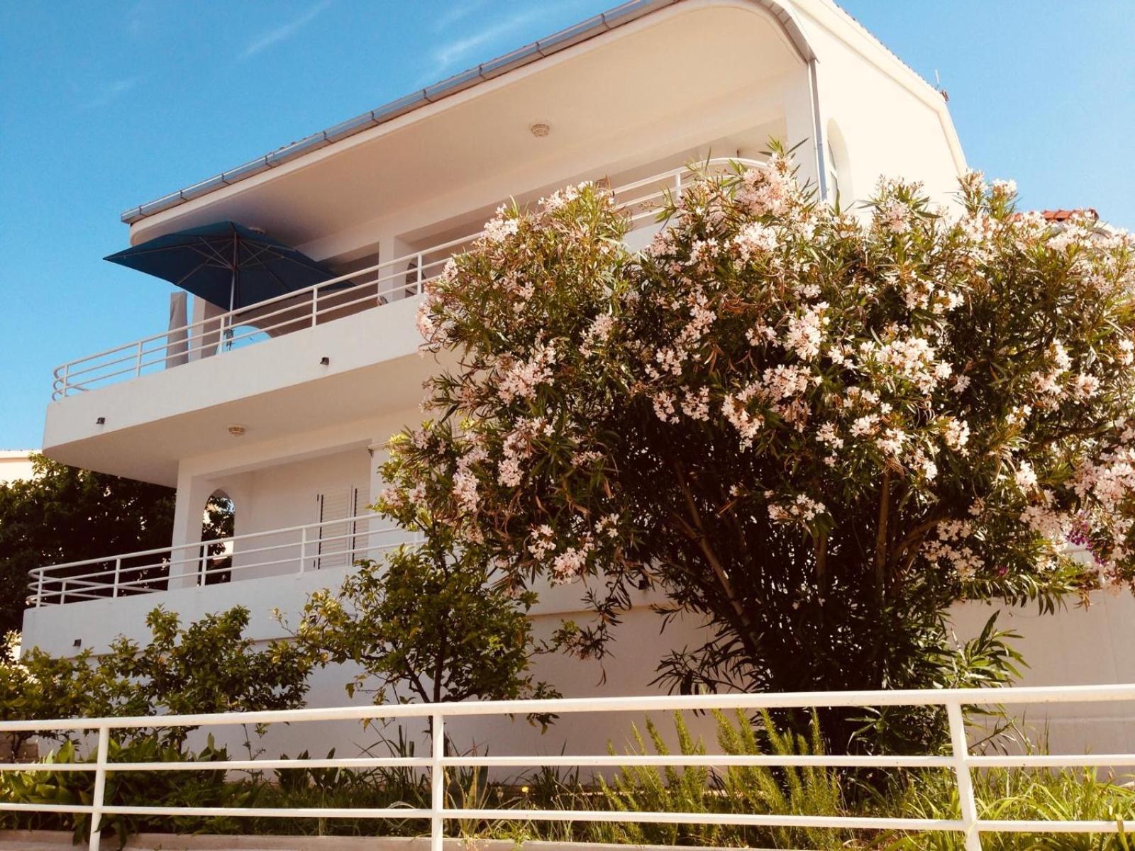 House Agradable Apartment Сегет Враница Екстериор снимка